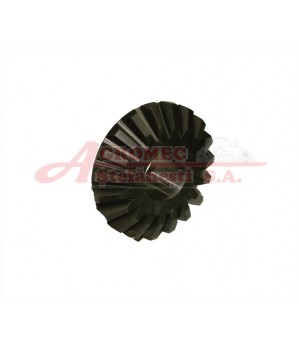 Pinion Z19 316.006
